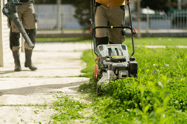 LAWN MOWING 1